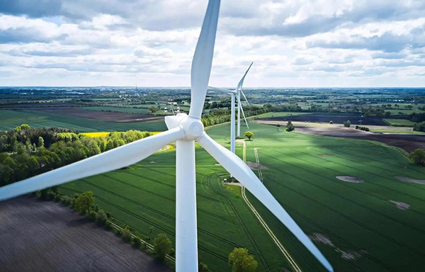 69c396e40dec7.jpg 02.jpg